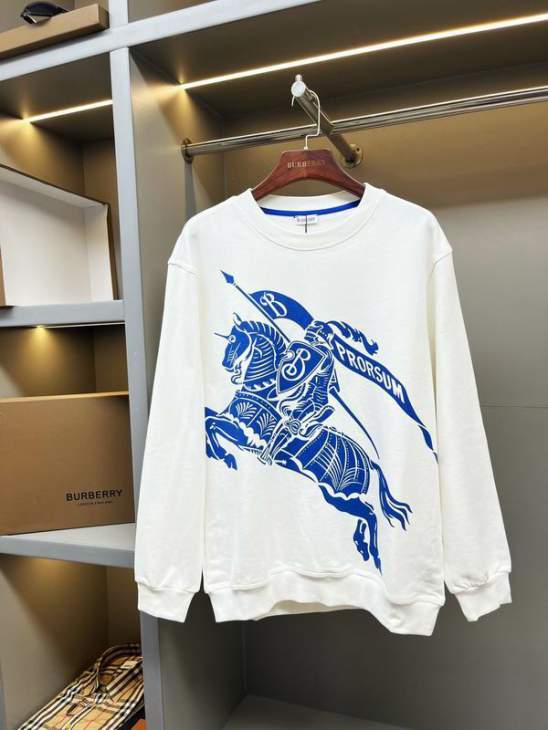 Picture of Burberry Sweatshirt _SKUBurberryS-2XLaztx863430947